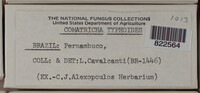 Image Associated With the Occurence